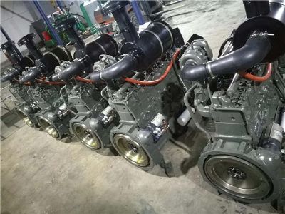 點擊查看詳細信息<br>標題：龍工30裝載機發(fā)動機 閱讀次數：1846